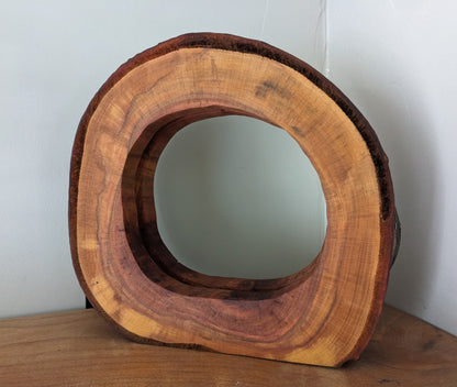 Lampe en tranche de prunier