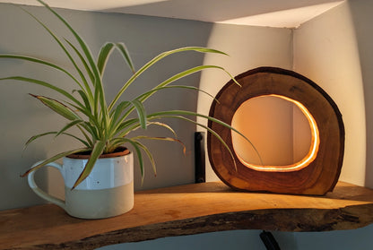 Lampe en tranche de prunier