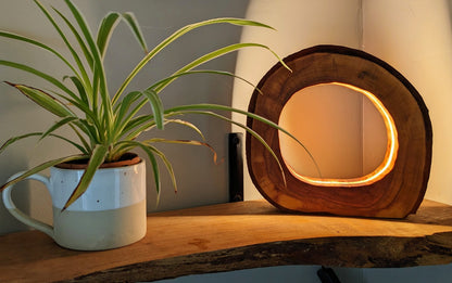 Lampe en tranche de prunier